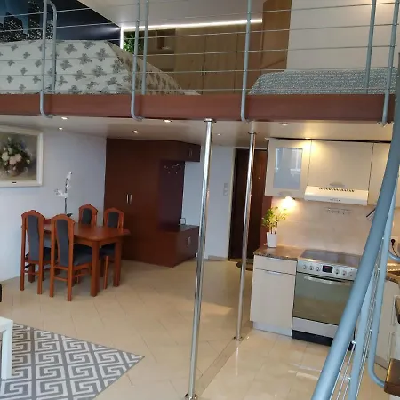 Amber Penthouse 公寓 华沙